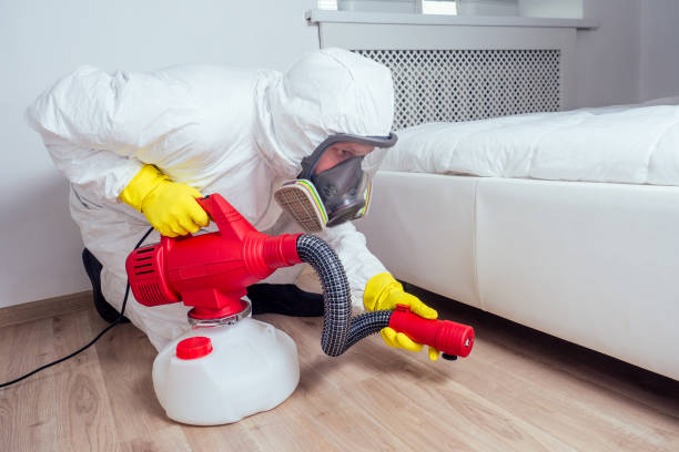 Best Pest Prevention Services  in Maplewood, MO